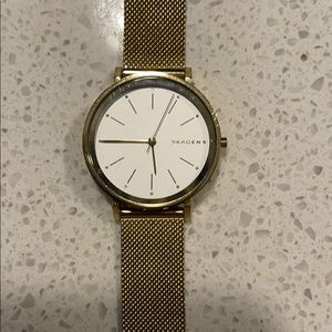 Skagen Gold Watch